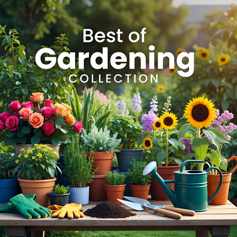 Best of Gardening